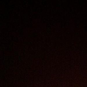 Meet your Posher, Freddy